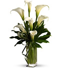My Fair Lady by Teleflora from Olney's Flowers of Rome in Rome, NY